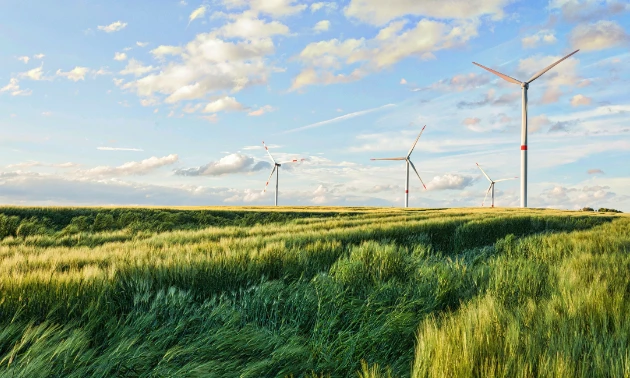 transACTs Sustainability Commitment