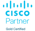 Cisco partner
